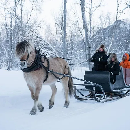 Onga Boutique * Alta