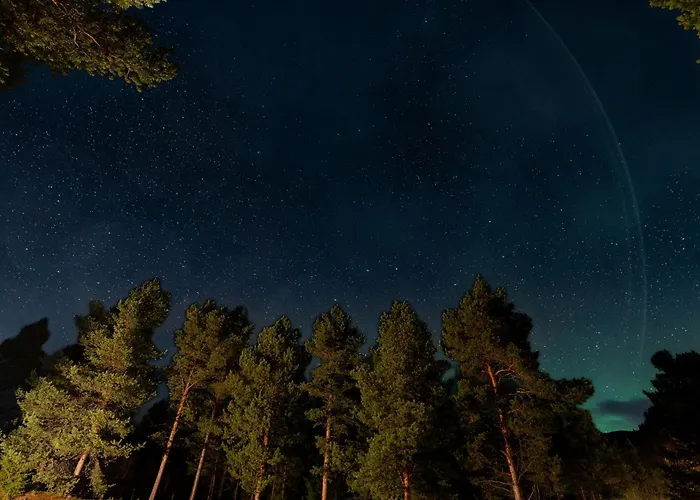 Отель Onga Boutique